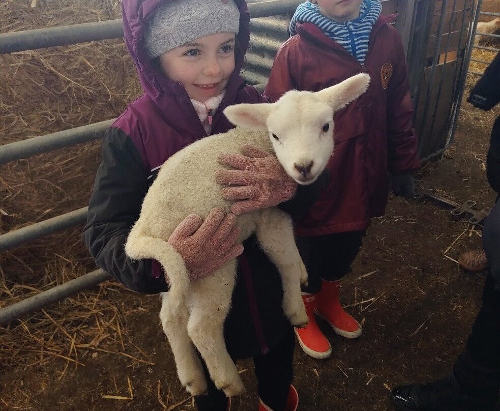 Kilmacolm Farm Tours-Cairncurran必去景点