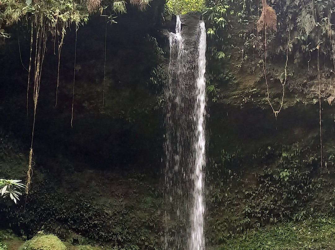 Aves y Aventuras en Putumayo-Mocoa必去景点