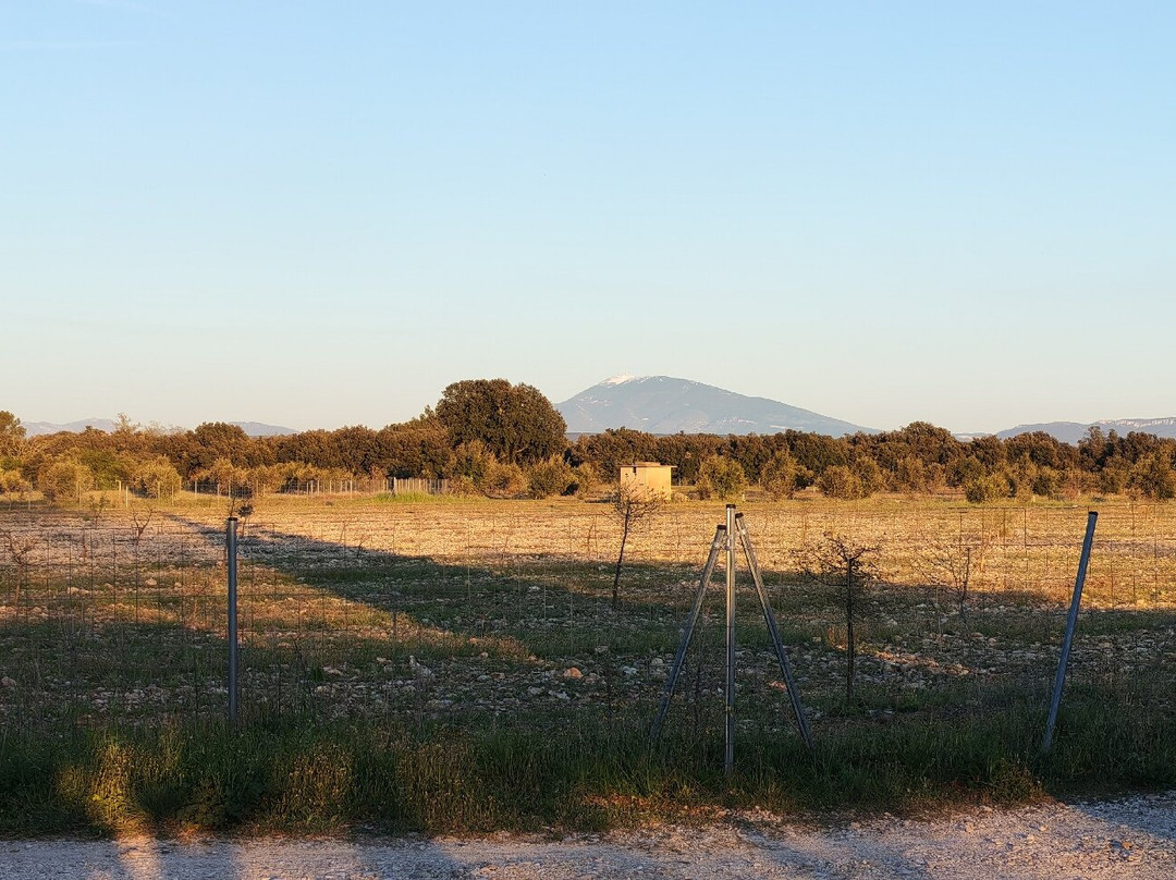 Logis 酒店 La Bastide 圣巴赫主图