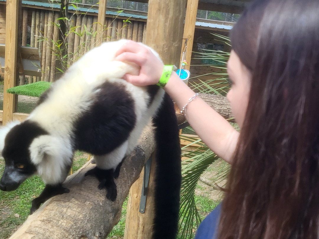 North Florida Wildlife Center-Lamont必去景点