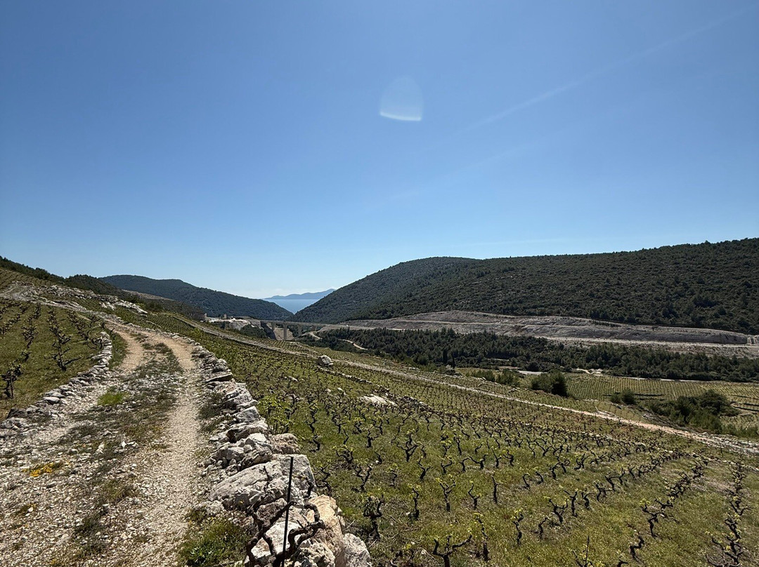 Milos Winery-斯顿必去景点