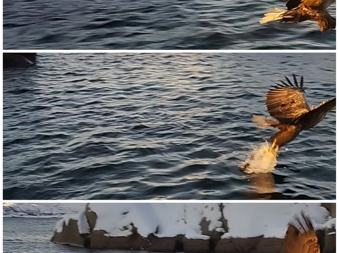 Go2Lofoten-斯沃尔韦尔必去景点