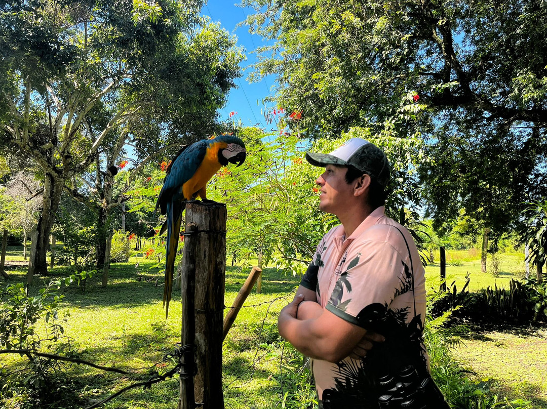 CHUCHINI Amazon Wildlife Reserve & Eco Lodge-Trinidad必去景点