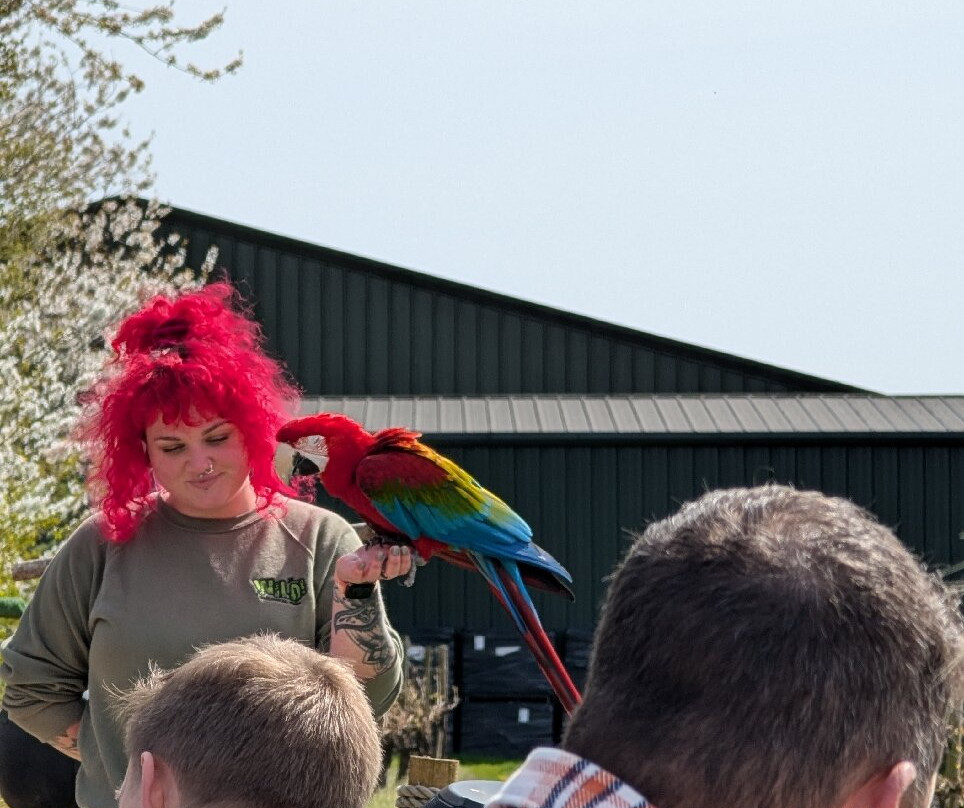 Wild Zoological Park-Bobbington必去景点