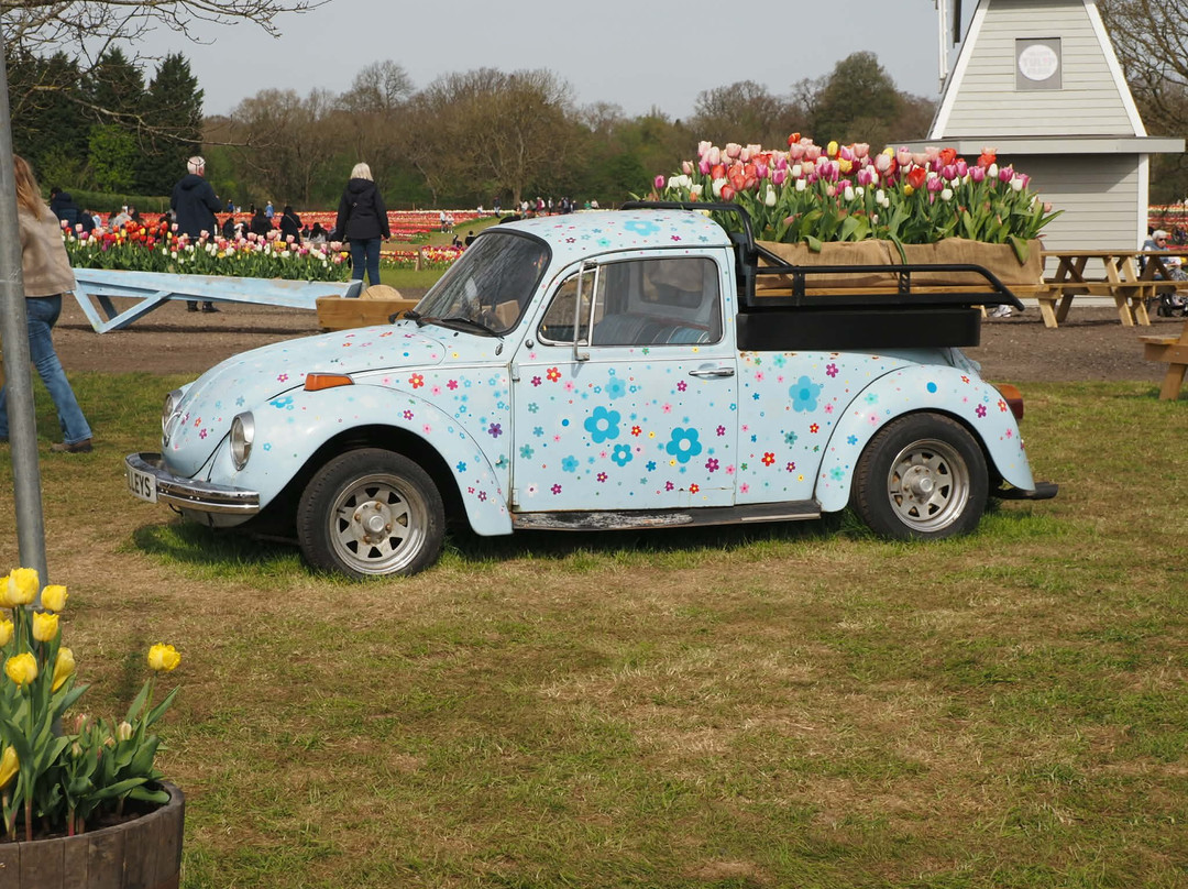 Tulleys Tulip Garden - Warwickshire-沃里克必去景点