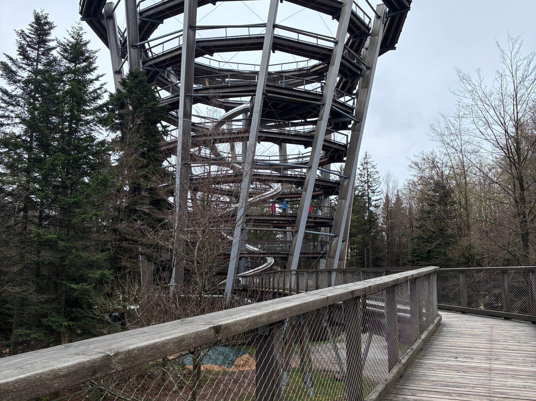 Baumwipfelpfad Schwarzwald-Bad Wildbad必去景点