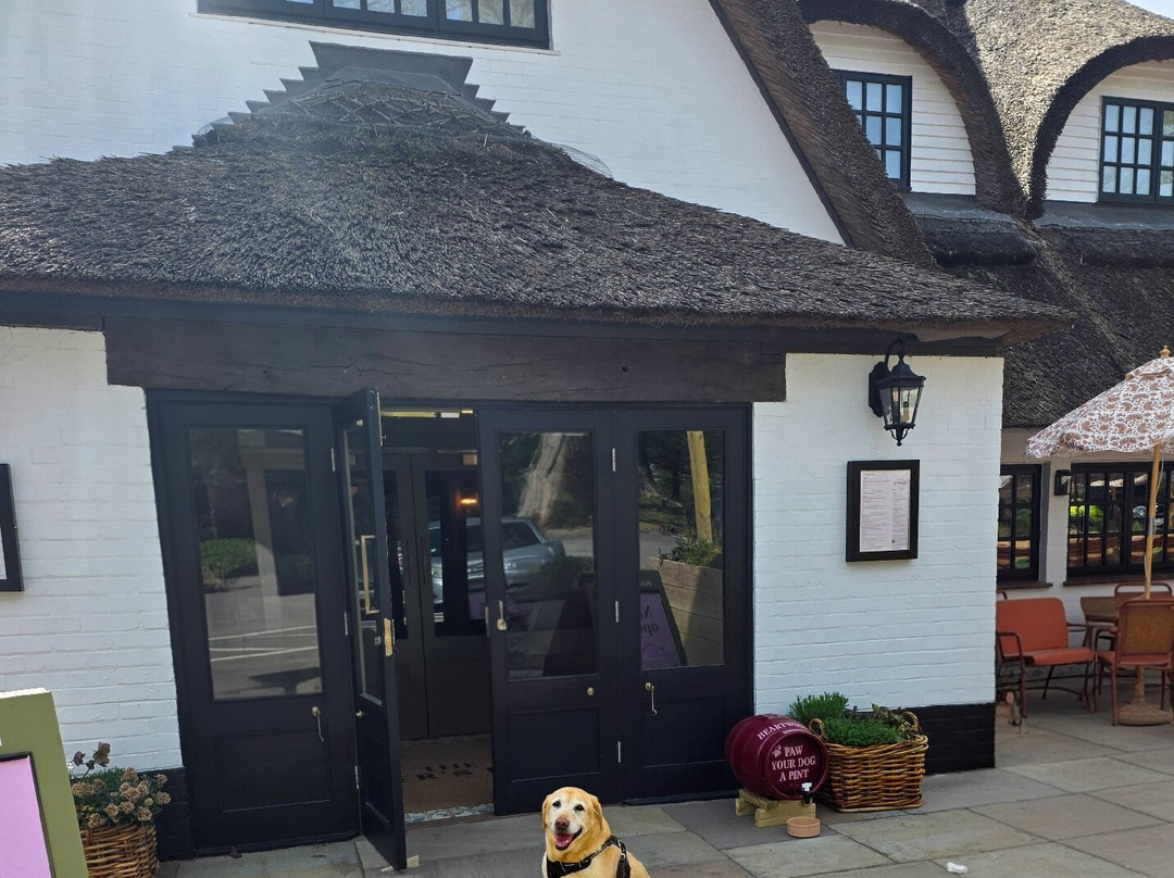 Potters Heron Hotel
