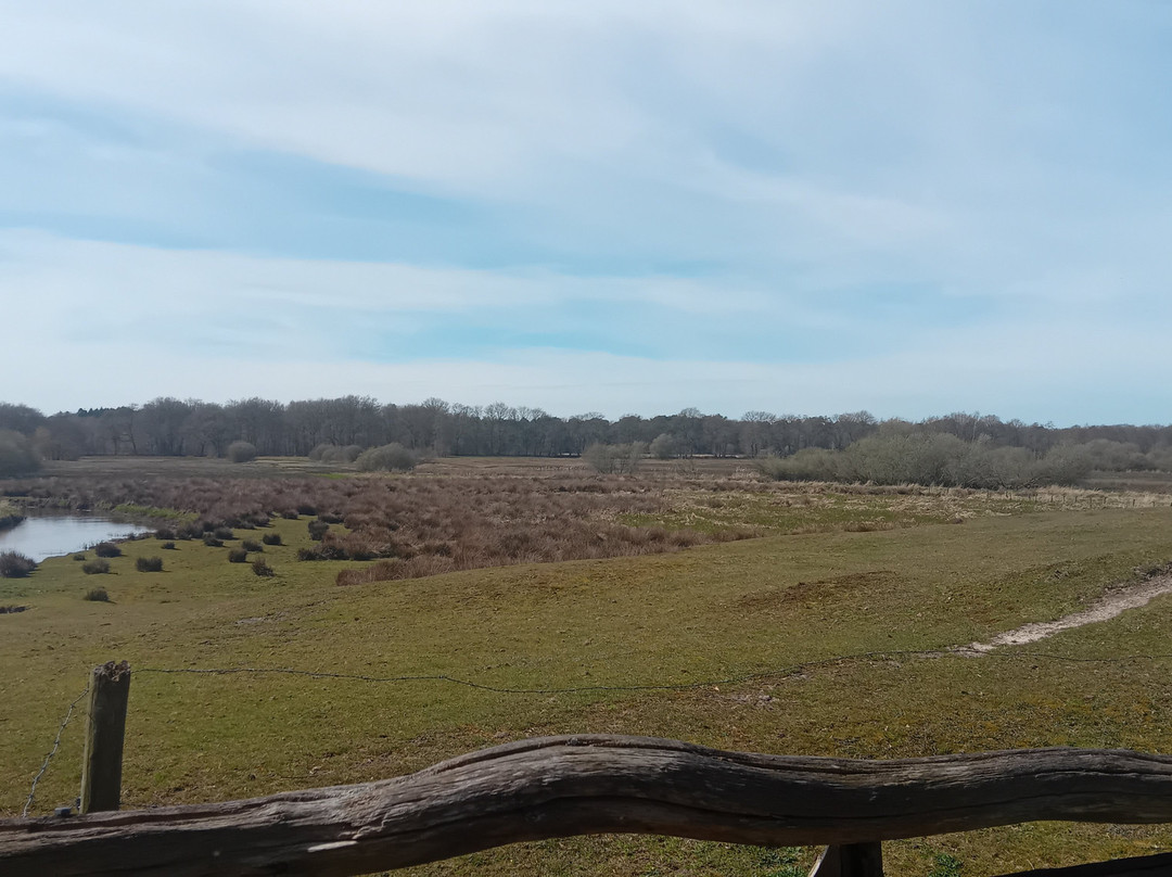 弗莱彻酒店主图