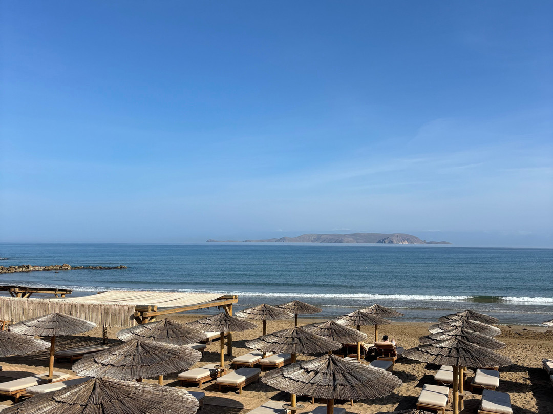 米茨斯里内拉主图