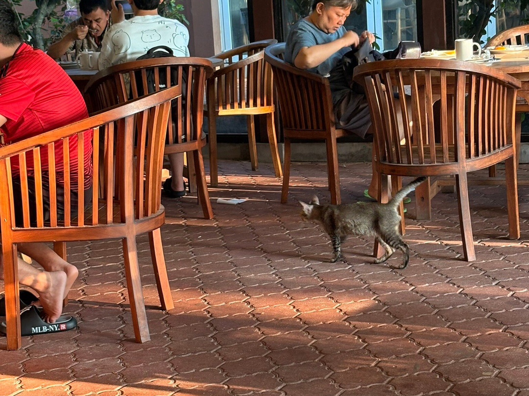 兰卡威热带度假村主图