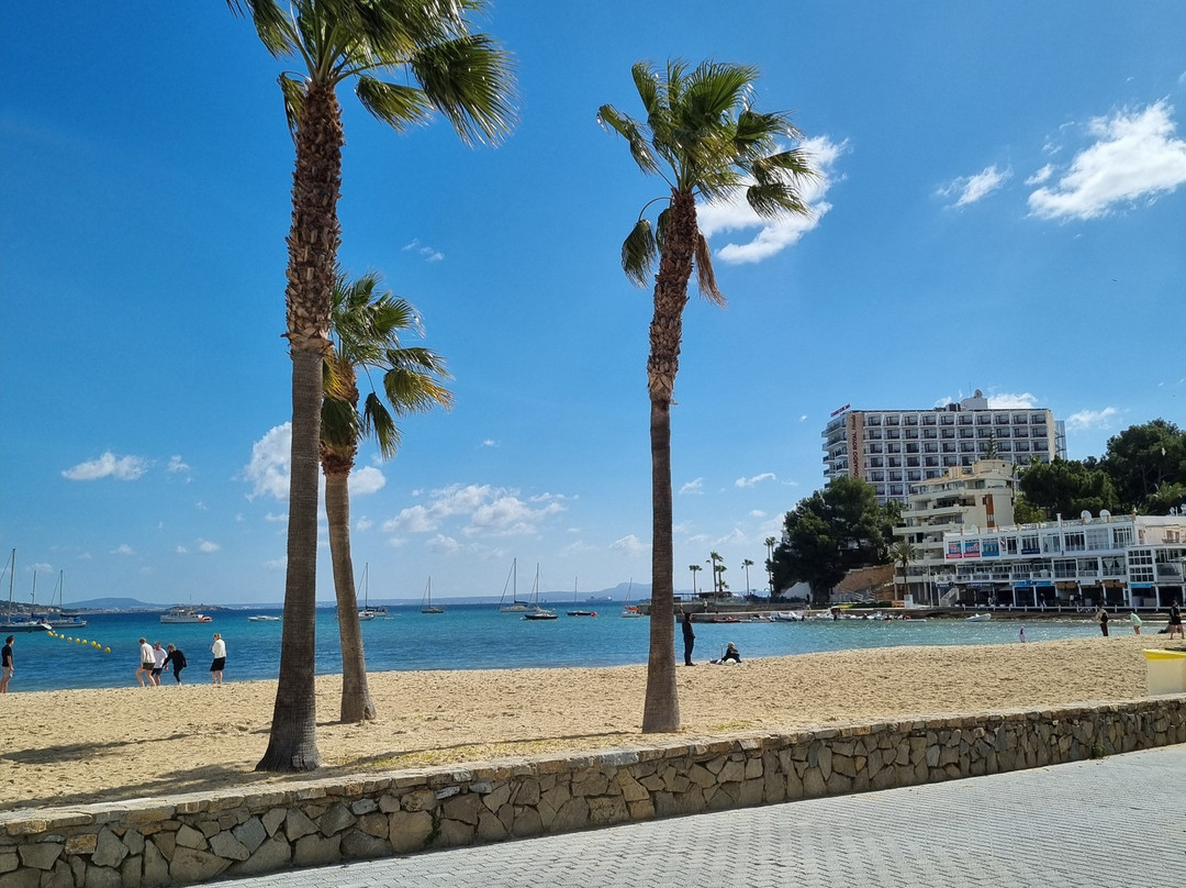 罗萨德尔玛水疗酒店主图