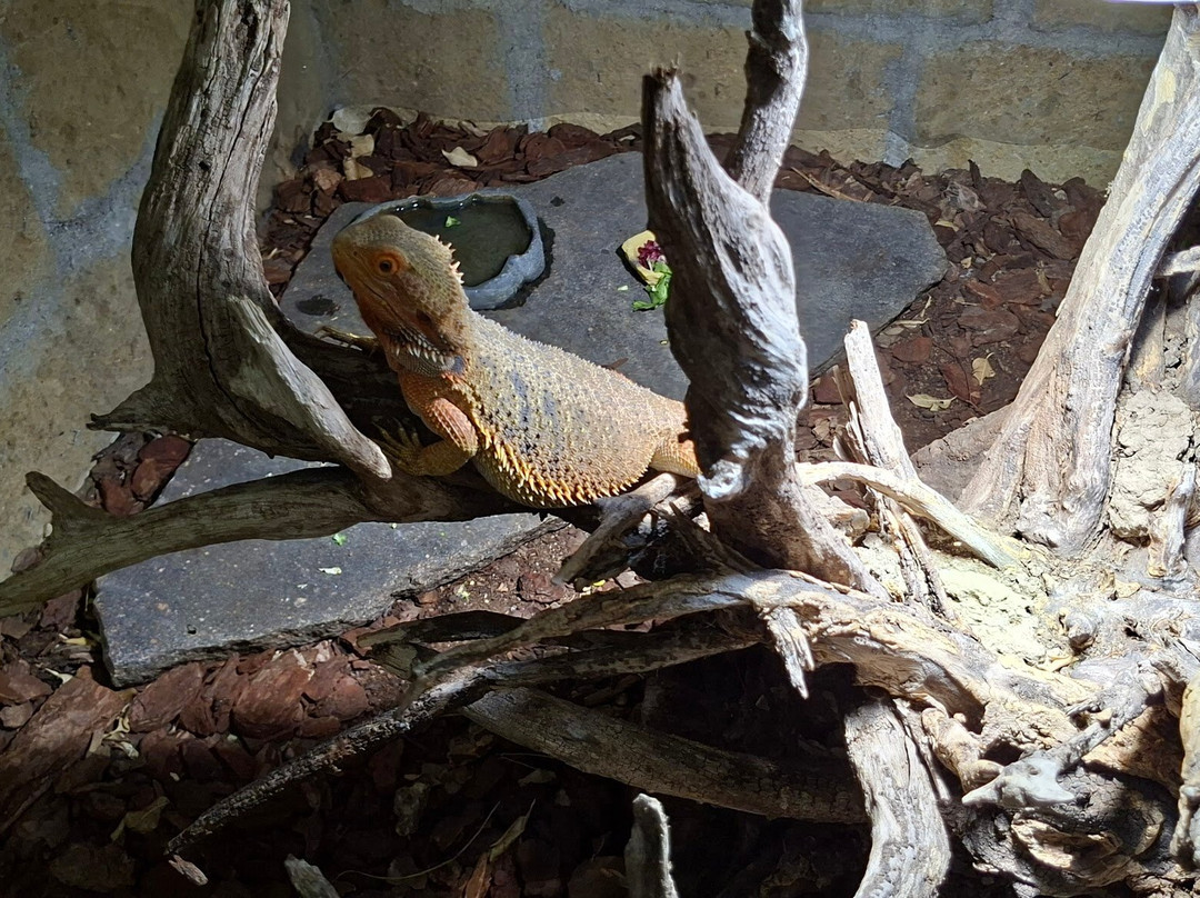 Casa delle Farfalle-Bordano必去景点