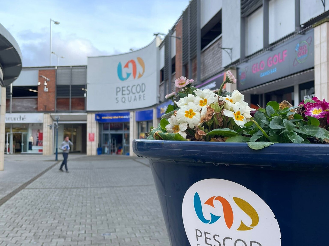 Pescod Square Shopping Centre-波士顿必去景点