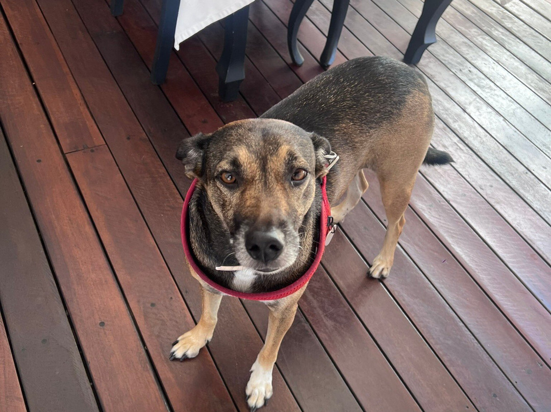 圣安东尼奥民宿精品酒店主图