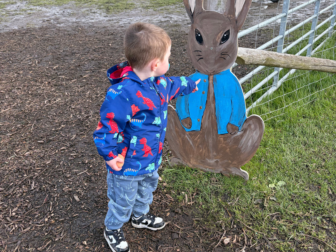Cockfields Farm Park-Ashton-under-Lyne必去景点