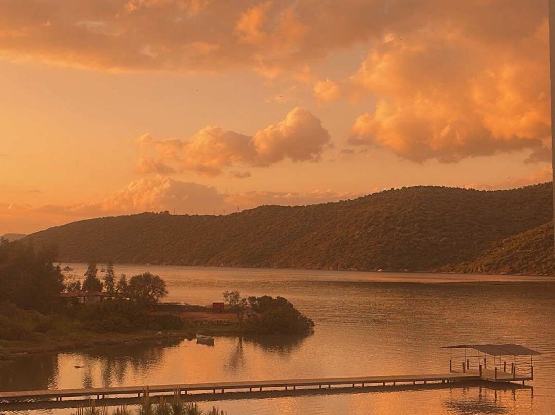 亚利卡普吉尼精品酒店主图