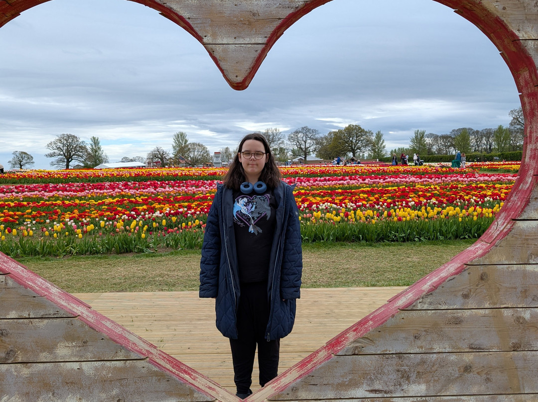 Tulleys Tulip Garden - Warwickshire-沃里克必去景点