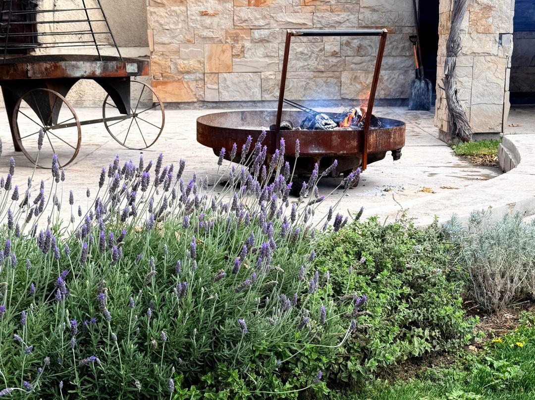 波垂利罗斯大酒店主图