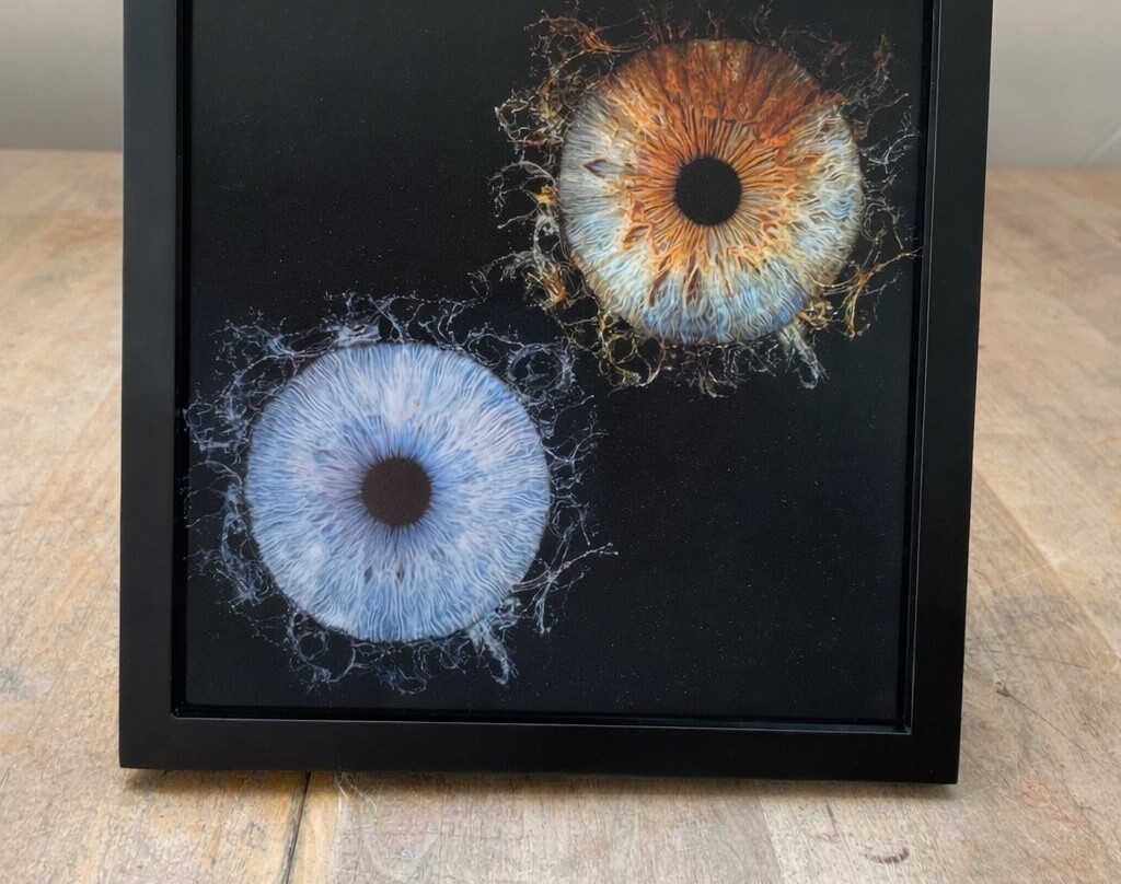 Iris Galerie Utrecht-乌特勒支必去景点