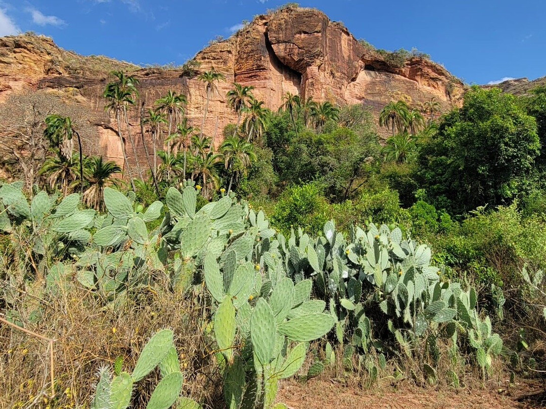 Ethio Gheralta Tours-Megab必去景点