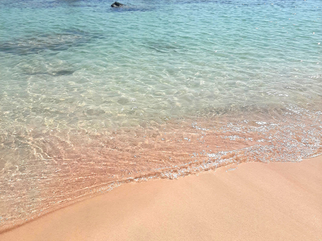 Elafonissi Beach-拉格尼西必去景点