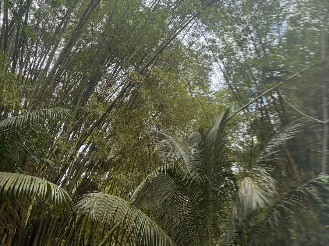 Spotin tours-Guaynabo必去景点