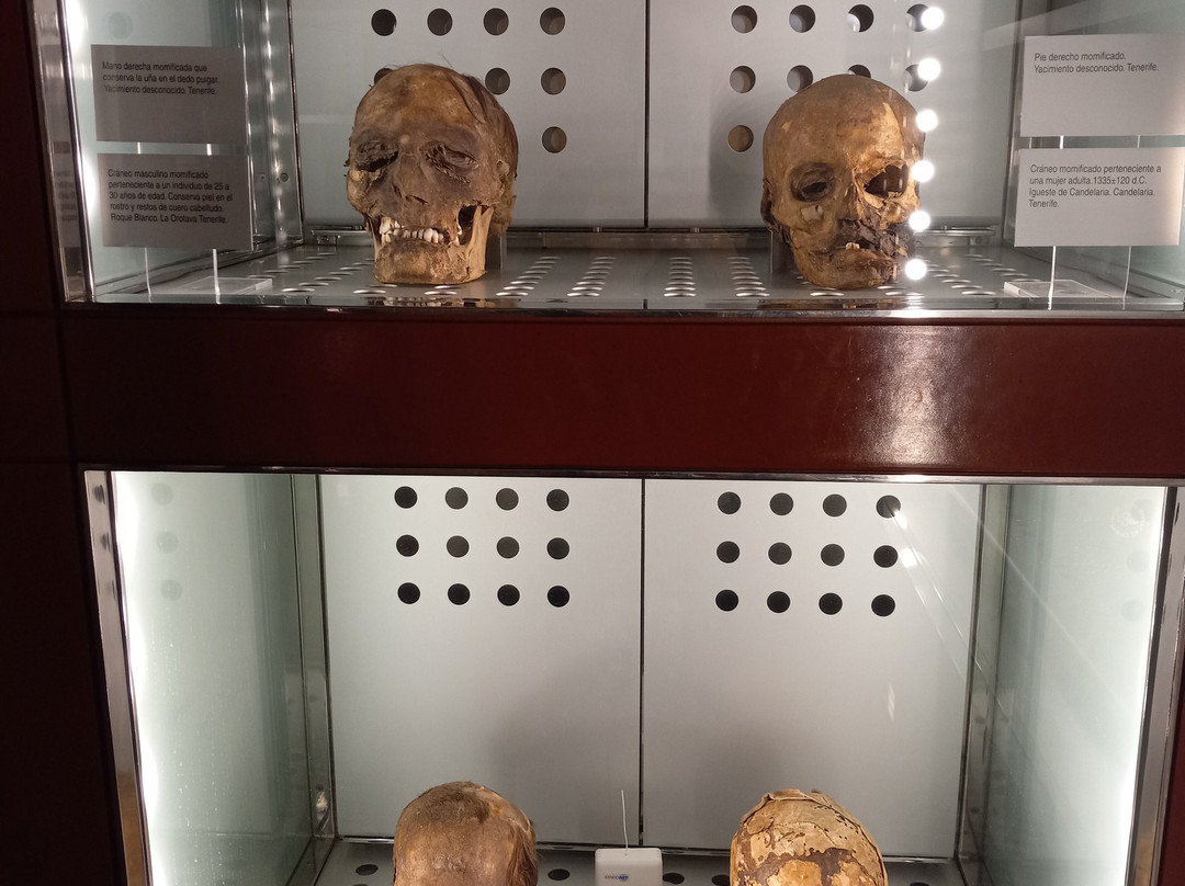 Museo de Naturaleza y Arqueologia-圣克鲁斯-德特内里费必去景点