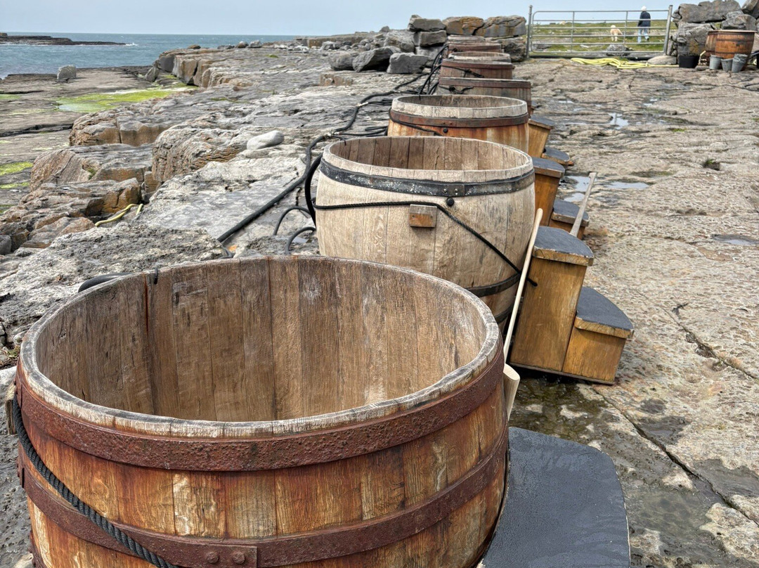 Wild Atlantic Seaweed Baths-Ballaghaline必去景点