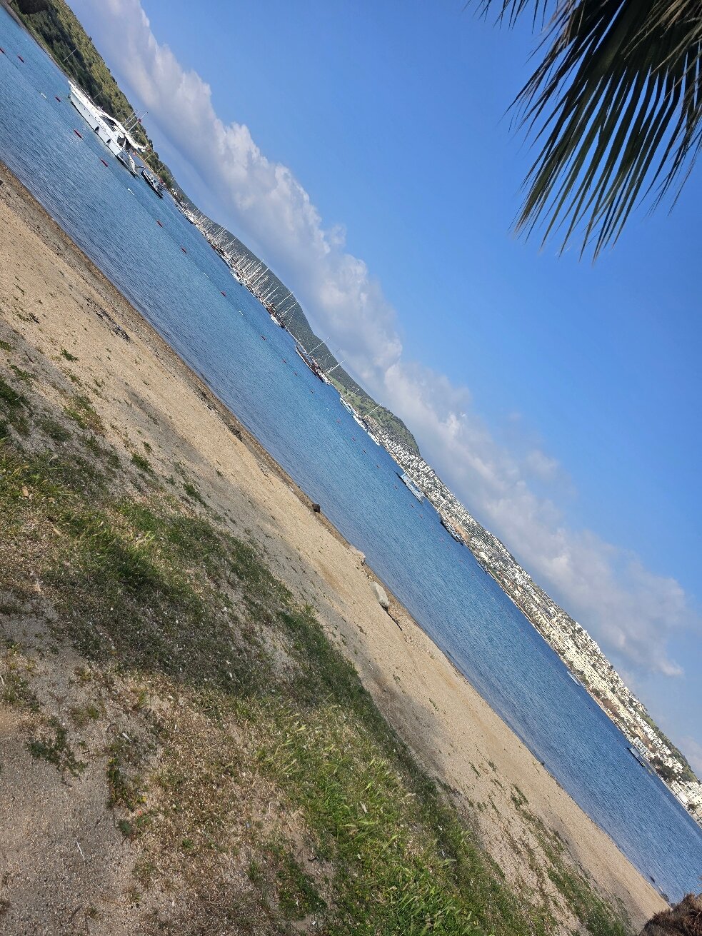 萨米海滩酒店-旅行者