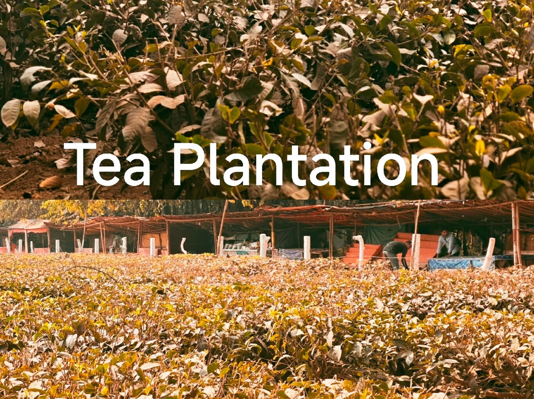 Bangladesh Scenic Tours-达卡市必去景点
