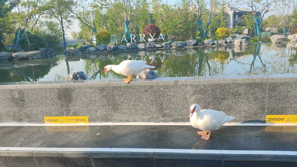 苏州阳澄湖悦榕庄-旅行者