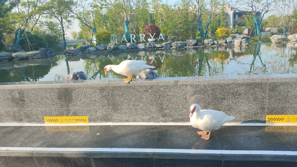 苏州阳澄湖悦榕庄主图