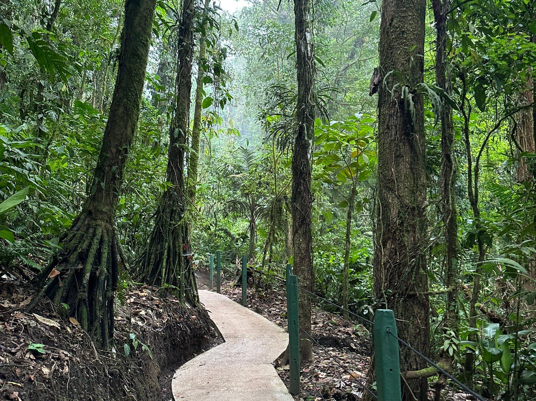 Bella Aventura Costa Rica-Santo Domingo de Heredia必去景点