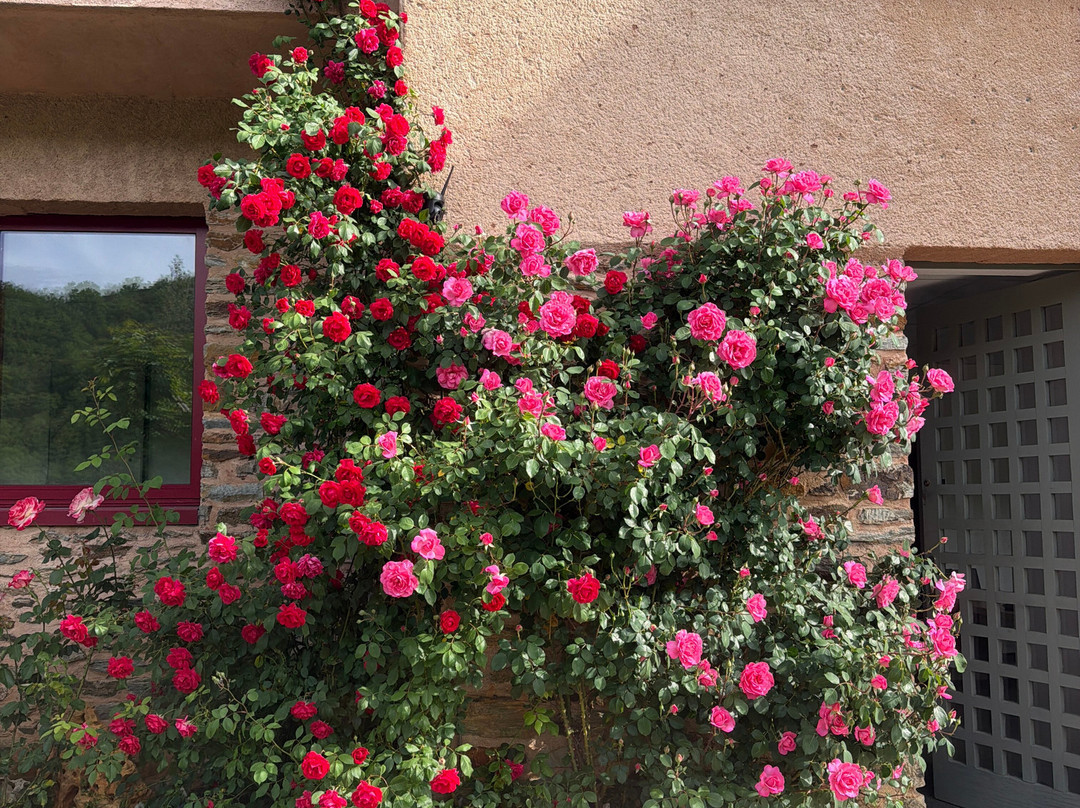 Chez François
