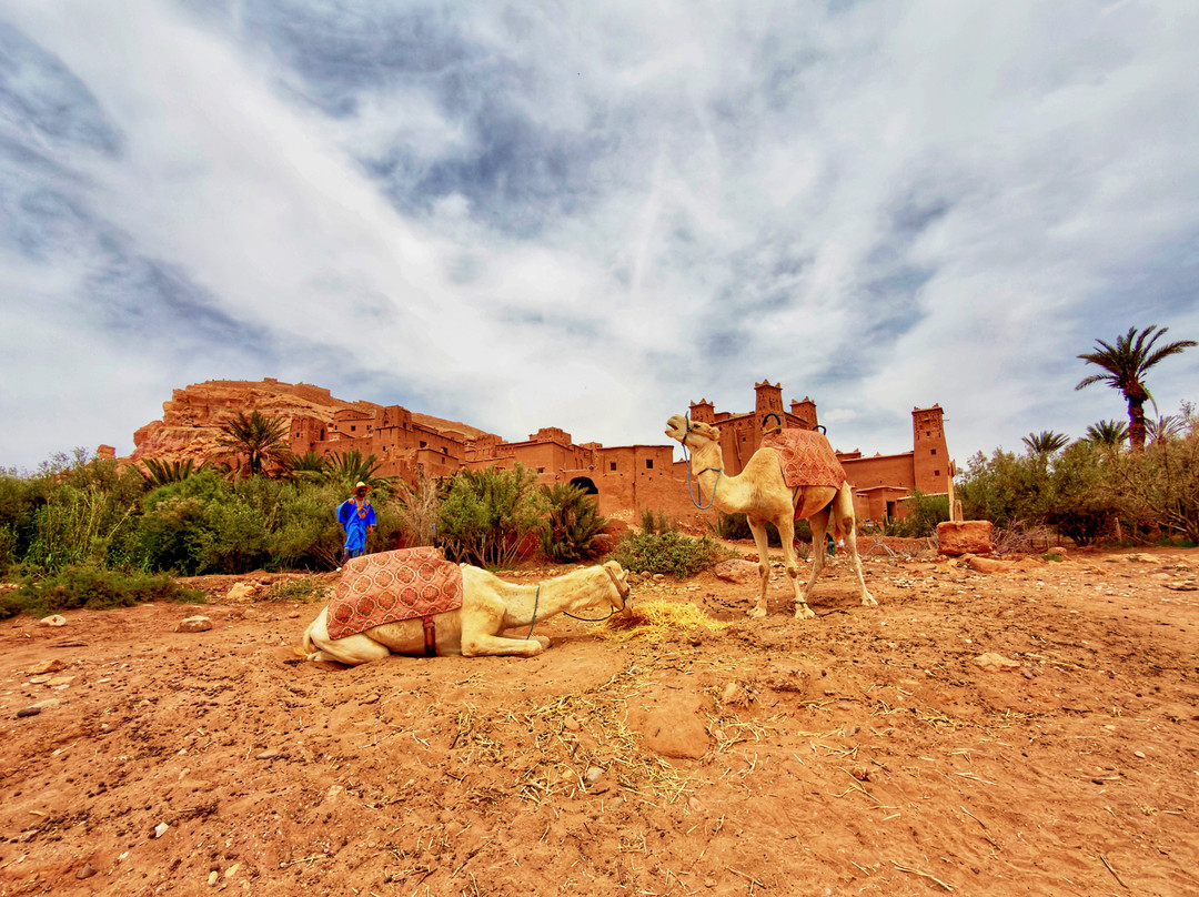 Merzouga Morocco Tours-瓦尔扎扎特必去景点