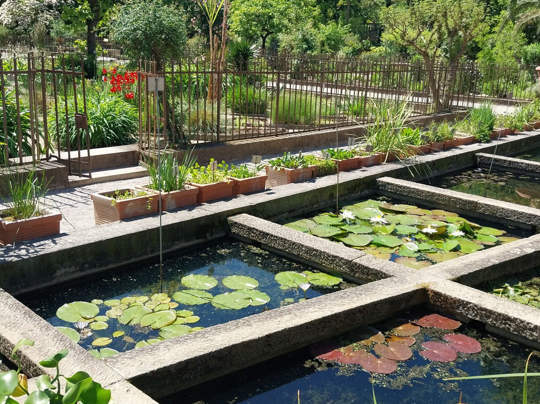 Orto Botanico 1545-帕多瓦必去景点