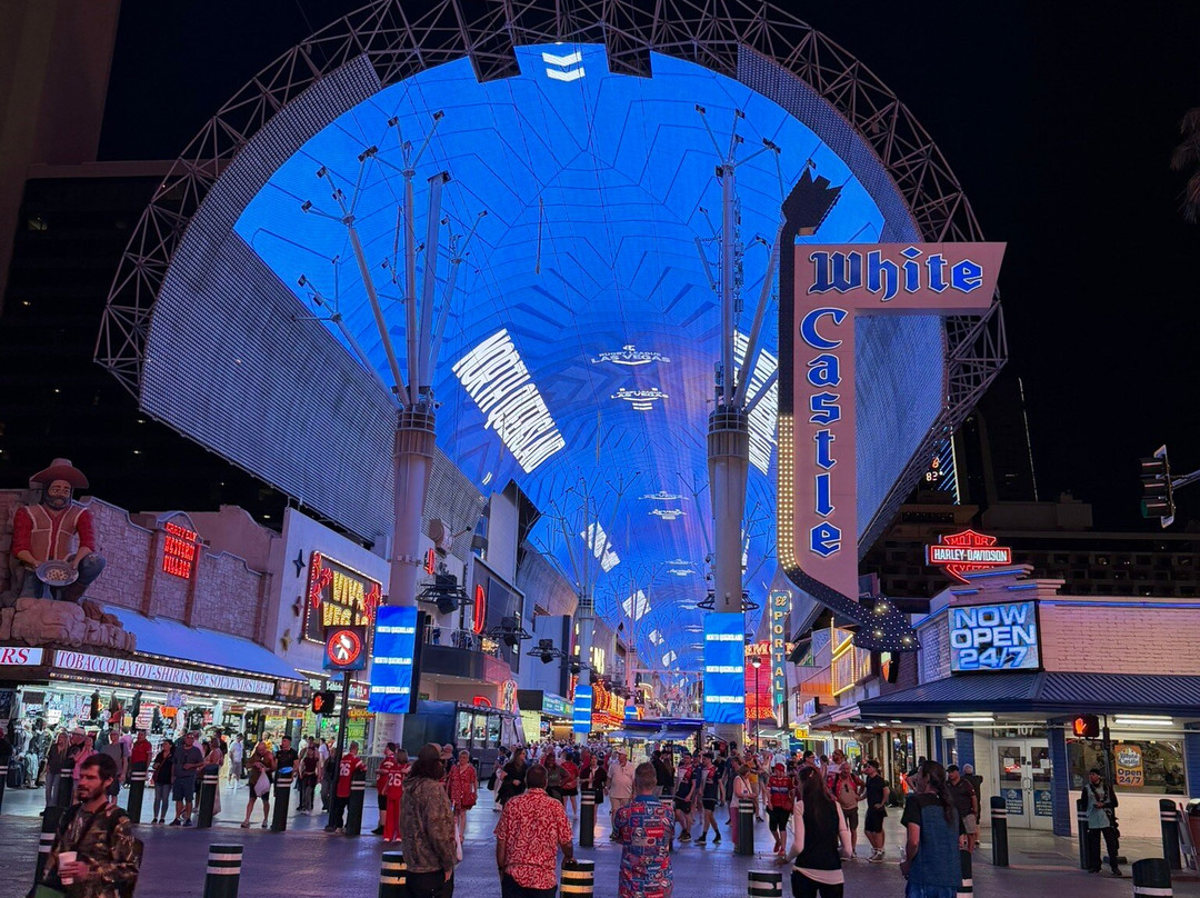 SlotZilla Zip Line Las Vegas-拉斯维加斯必去景点