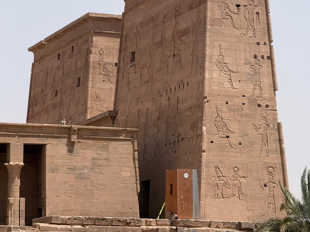Mena Tour Guide Aswan Luxor-亚斯文必去景点