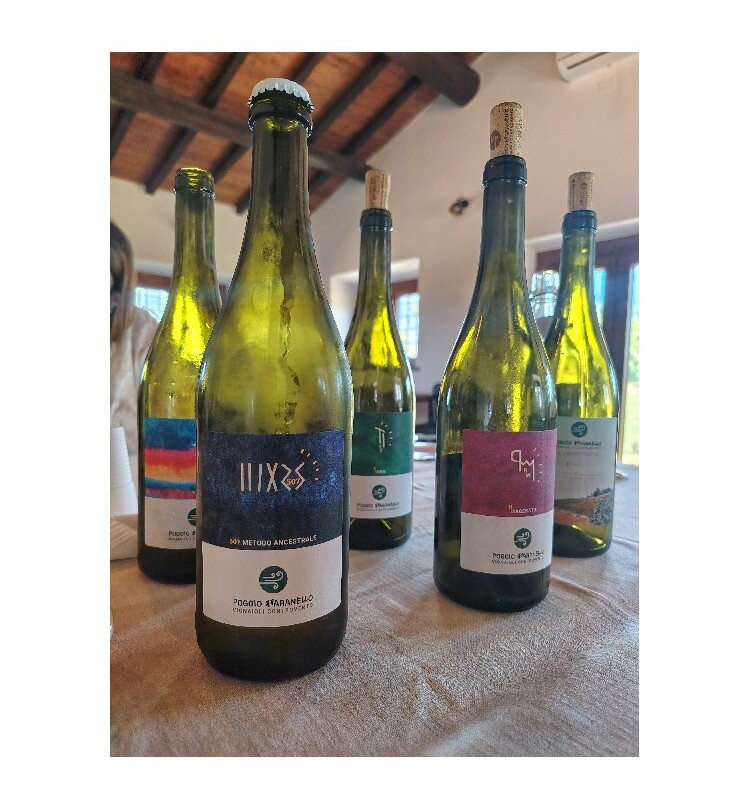 Poggio Bbaranèllo -Vignaioli Controvento-蒙特菲亚斯科内必去景点