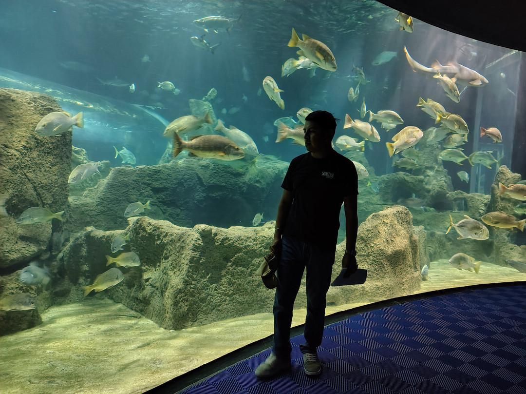 Acuario Michin Guadalajara-瓜达拉哈拉必去景点