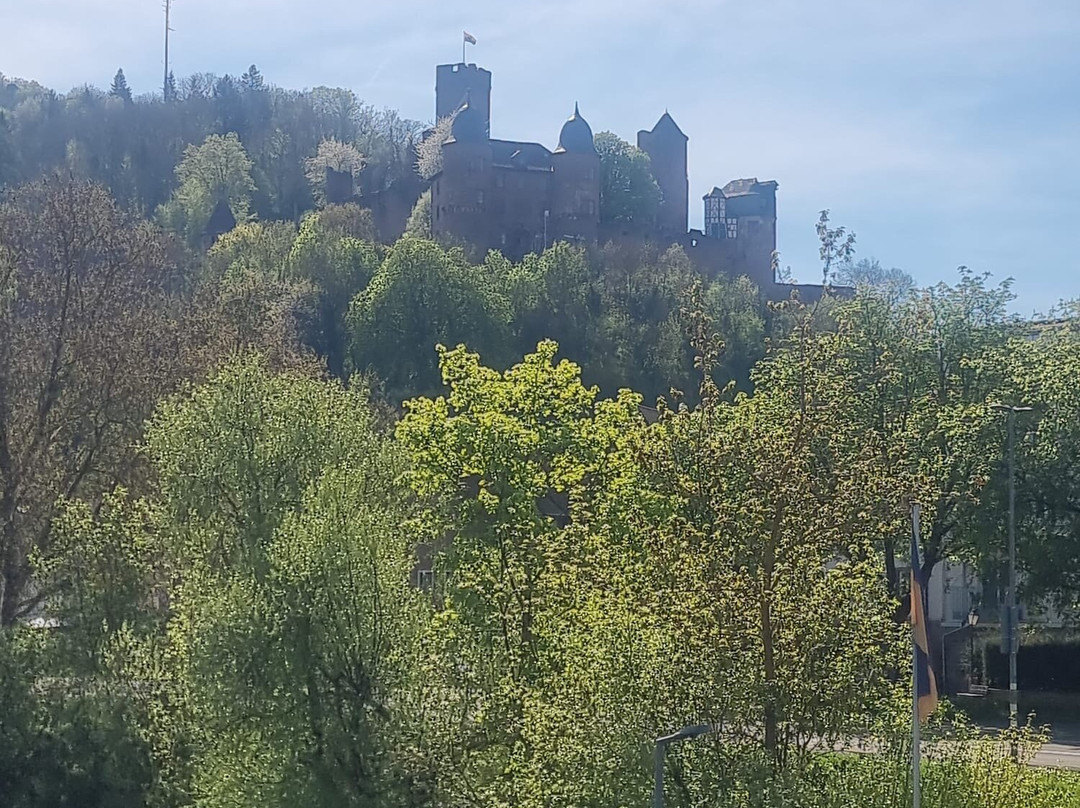 Burg Wertheim-沃特海姆必去景点