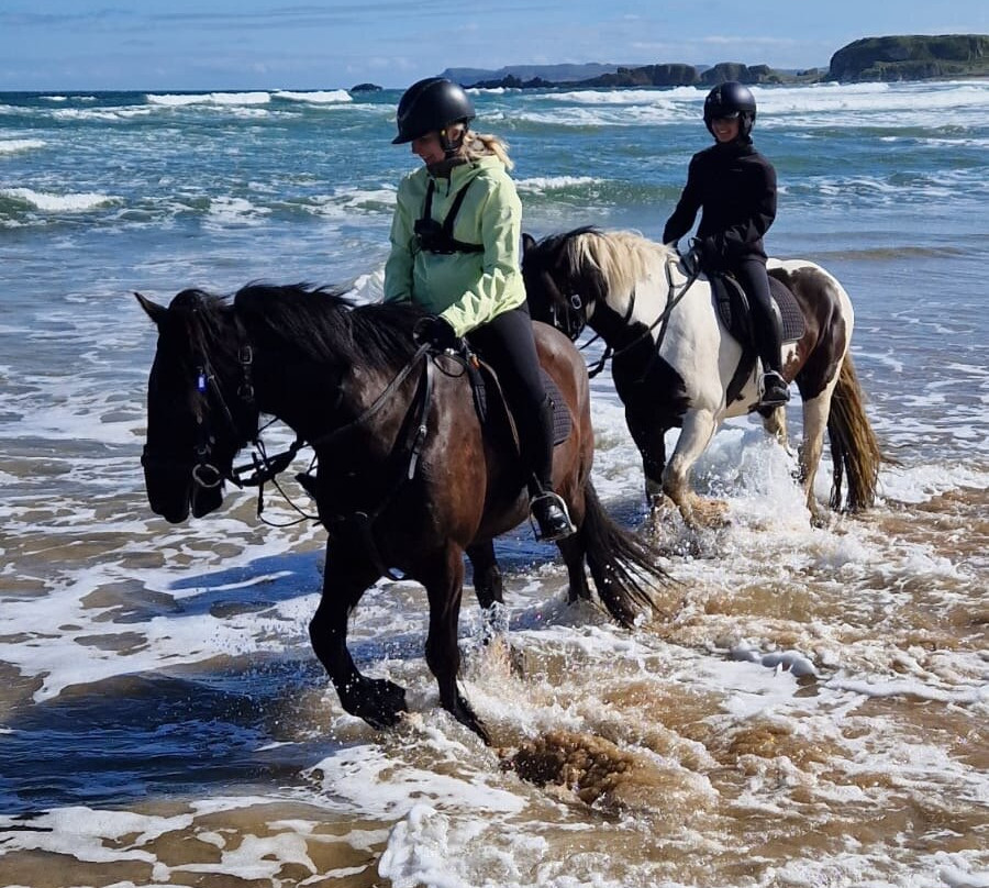 Bespoke Equestrian Ireland-都柏林必去景点
