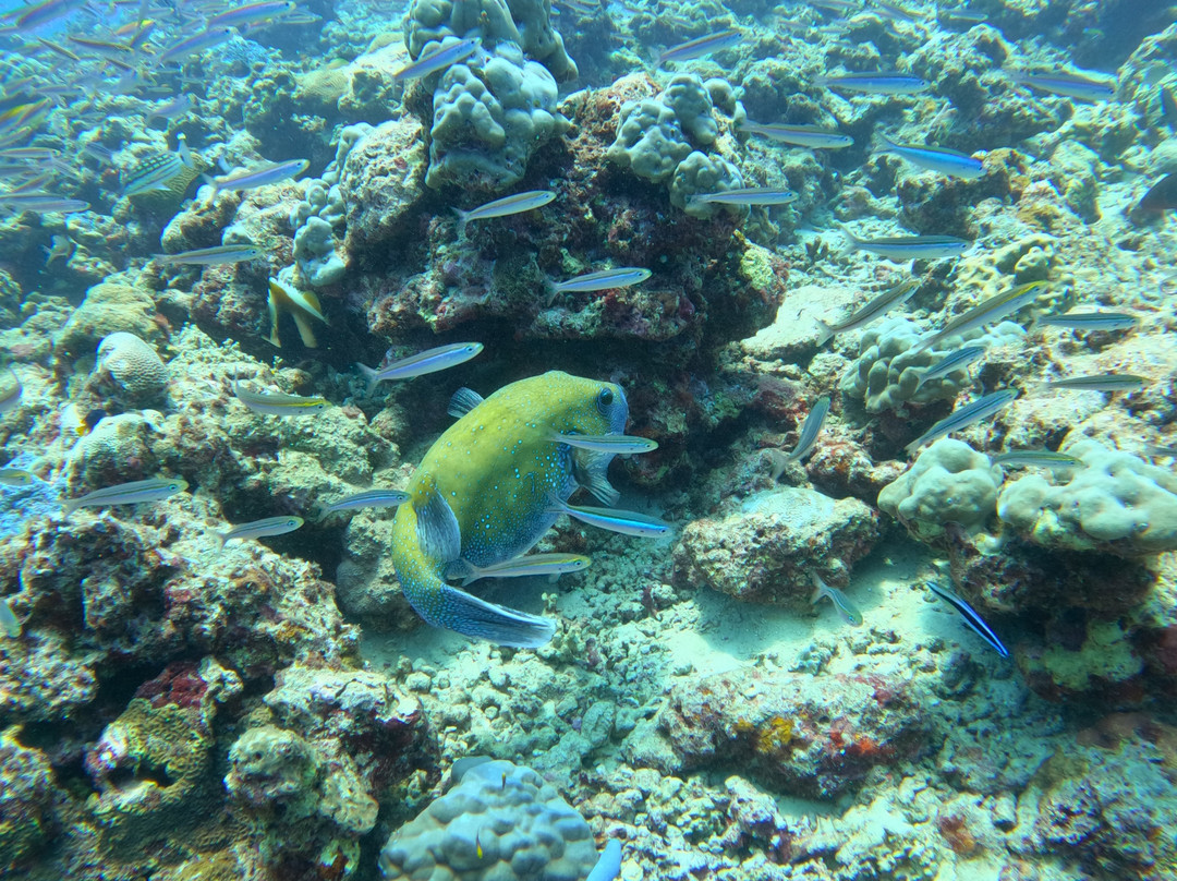 Barefoot Scuba-哈夫洛克岛必去景点