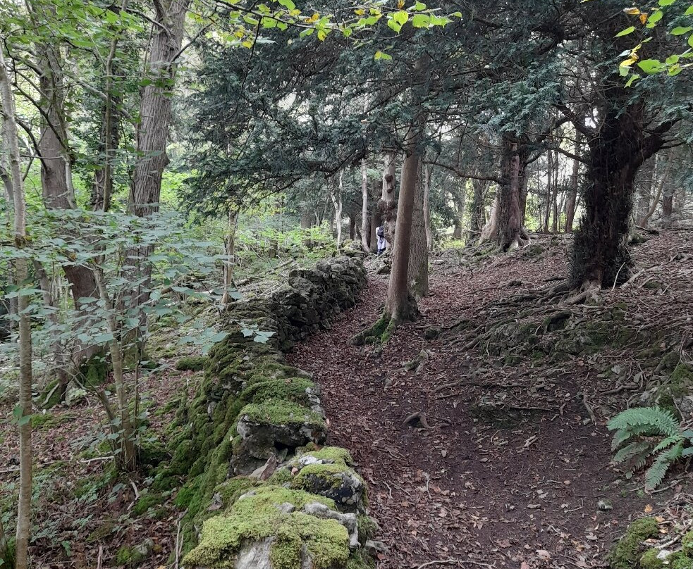 Grubbins Wood-Arnside必去景点