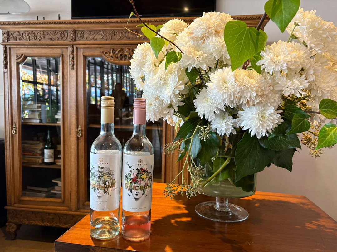 Altieri Wines - Vinorum-路冉得库约必去景点