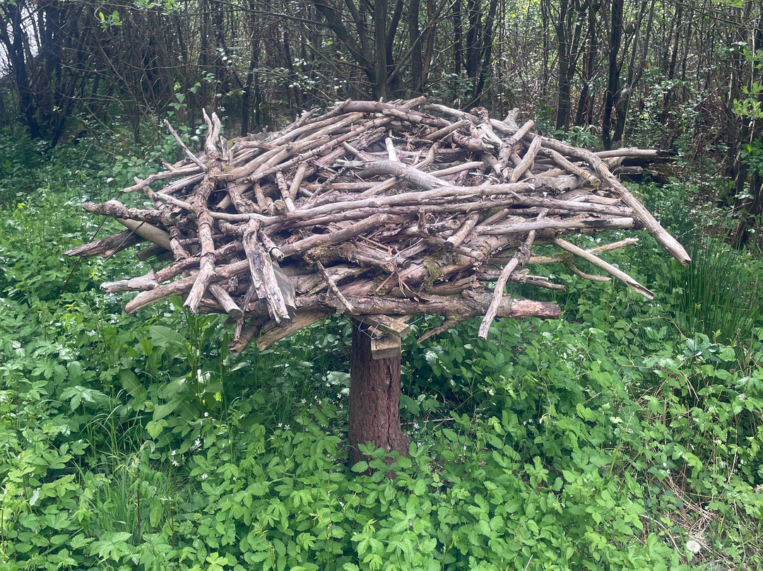 Foulshaw Moss Nature Reserve-肯德尔必去景点