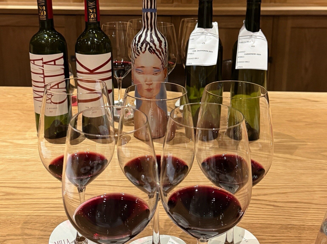 Colchagua Wine Tours-圣克鲁斯必去景点