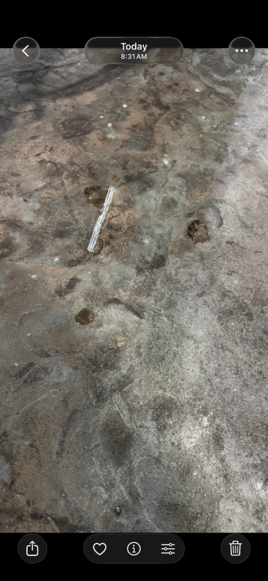 智选假日套房酒店詹克斯-旅行者