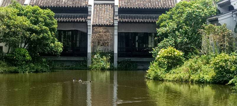 杭州西溪悦榕庄-旅行者