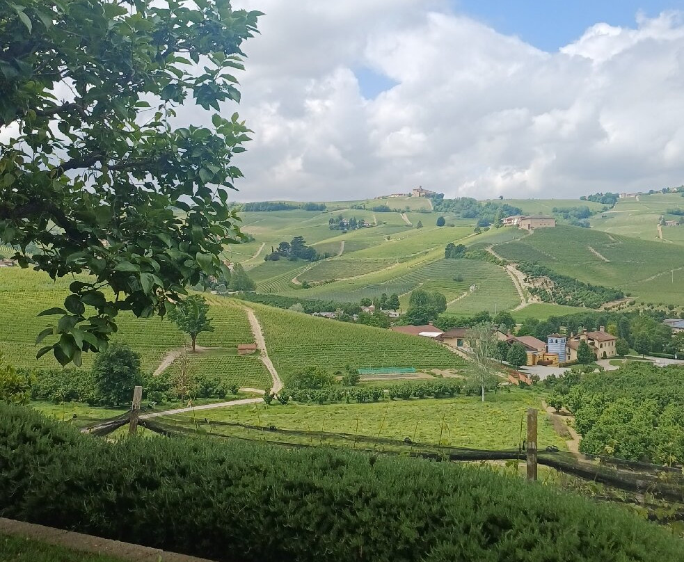Azienda Agricola Cascina Pugnane S.S. dei F.lli Ghisolfi-Castiglione Falletto必去景点